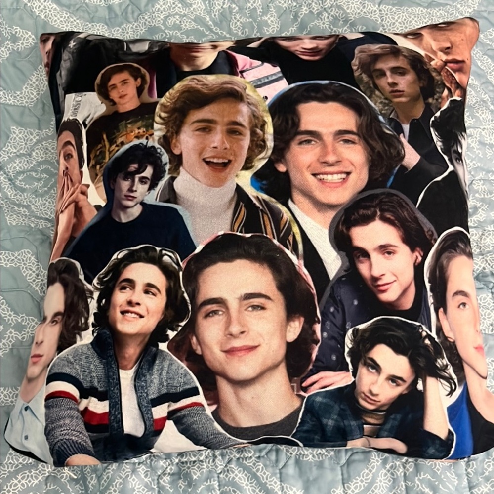 Timothée Chalamet Pillow